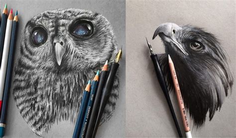 animals on land drawing|Drawing Realistic Wild Animals: Tips & Techniques.